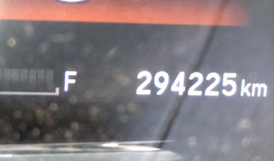 Odometer showing 294,225 km