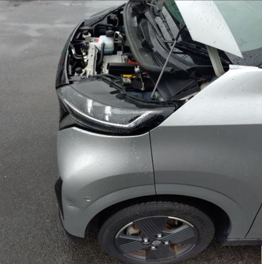 Front fender and opened bonnet of the Nissan Sakura